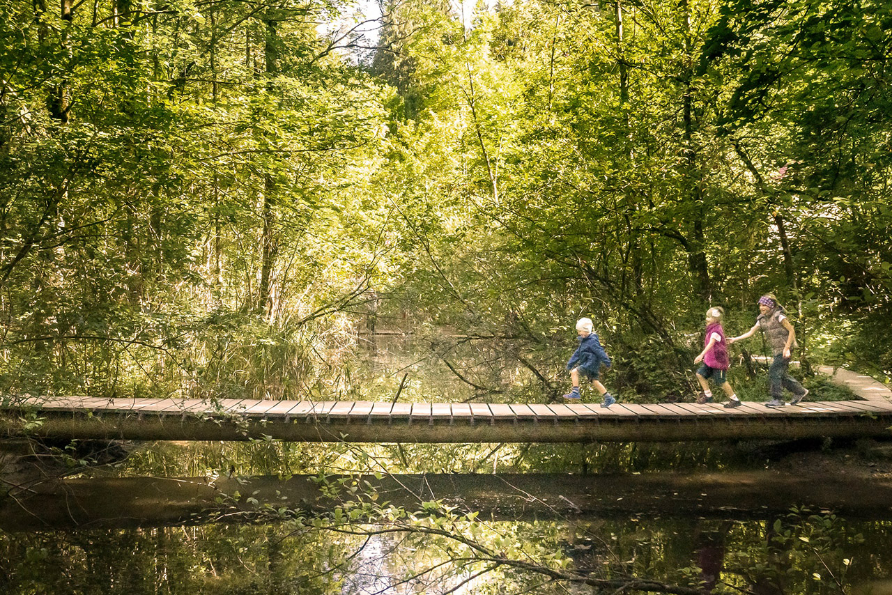 Kinder, die über eine Holzbrücke über einen See laufen.     
